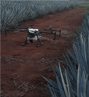 uso de drones en la industria tequilera