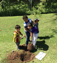 plant a tree program casa sauza