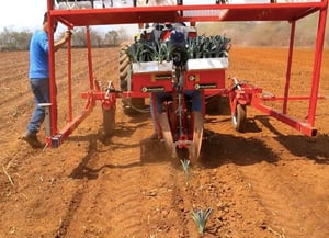 technology at agave fields for tequila