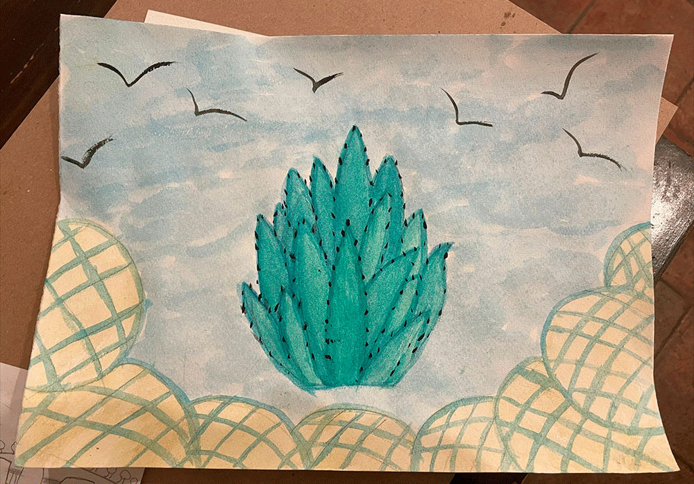 Sauza-dibujo-Taller-Itinerante-de-Investigacion-y-Creacion-Artistica-sobre-el-Paisaje-Agavero