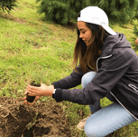 plantación de árboles Casa Sauza