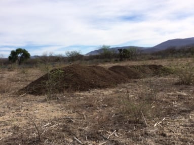 appropriate soil to plant agave