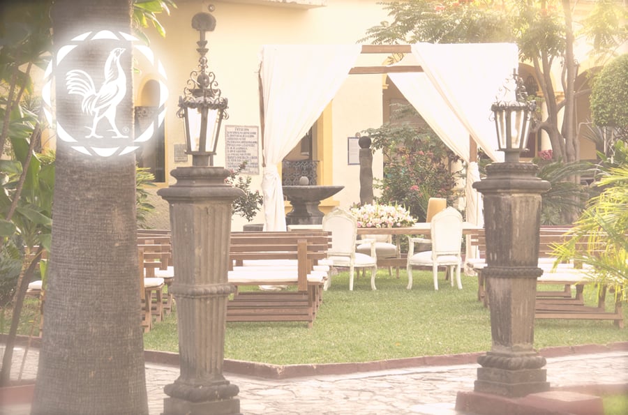 Weddings at Tequila, Jalisco
