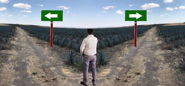change management in the tequila industry