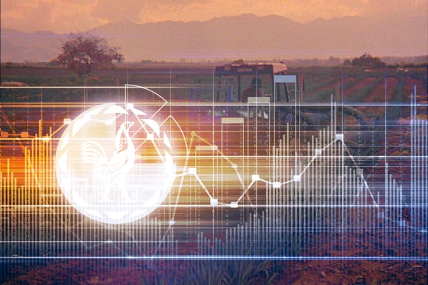 Agricultural ABC costs system tequila industry