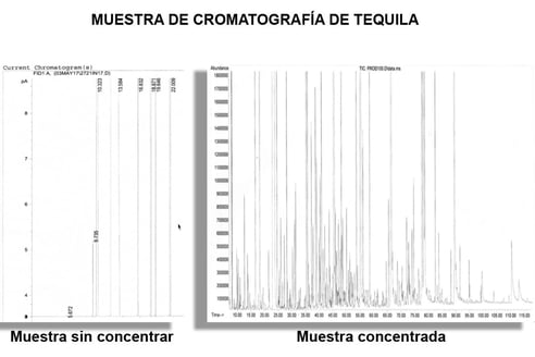 Muestra cromatografica del tequila 