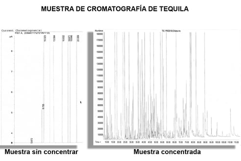 Muestra cromatografica del tequila 