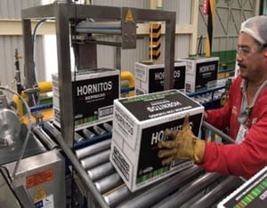 continuous improvement at casa sauza