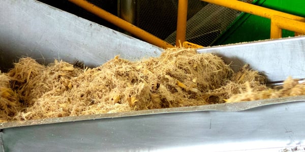 agave bagasse in the shredding process casa sauza