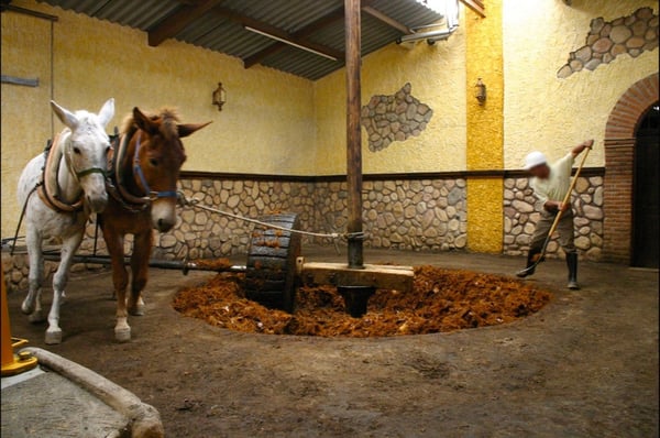 Tahona movida por animales Tahona movida por animales