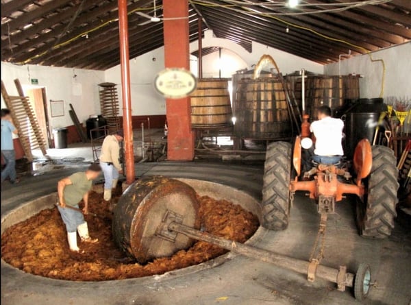 Tahona movida por tractor Tahona movida por tractor