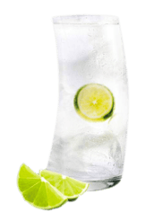 cocktail made with tequila sauza and lemon
