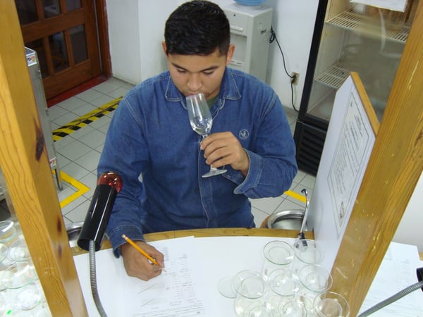 control de documentos 3 Casa Sauza