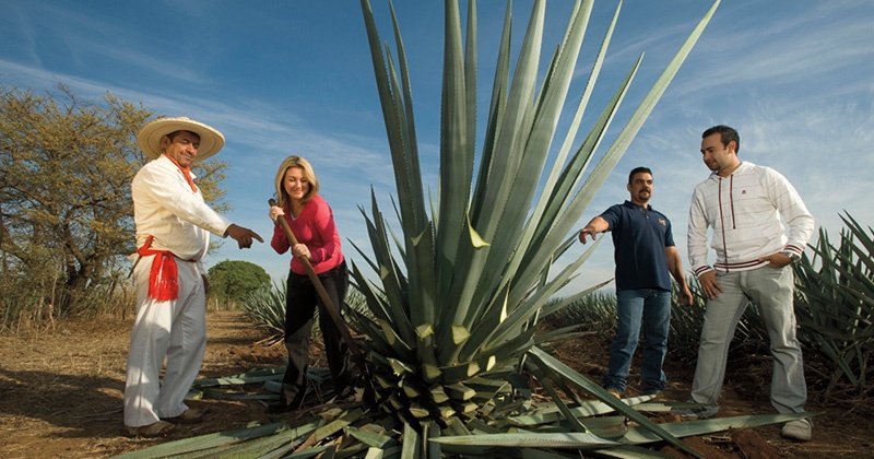 tour tequila
