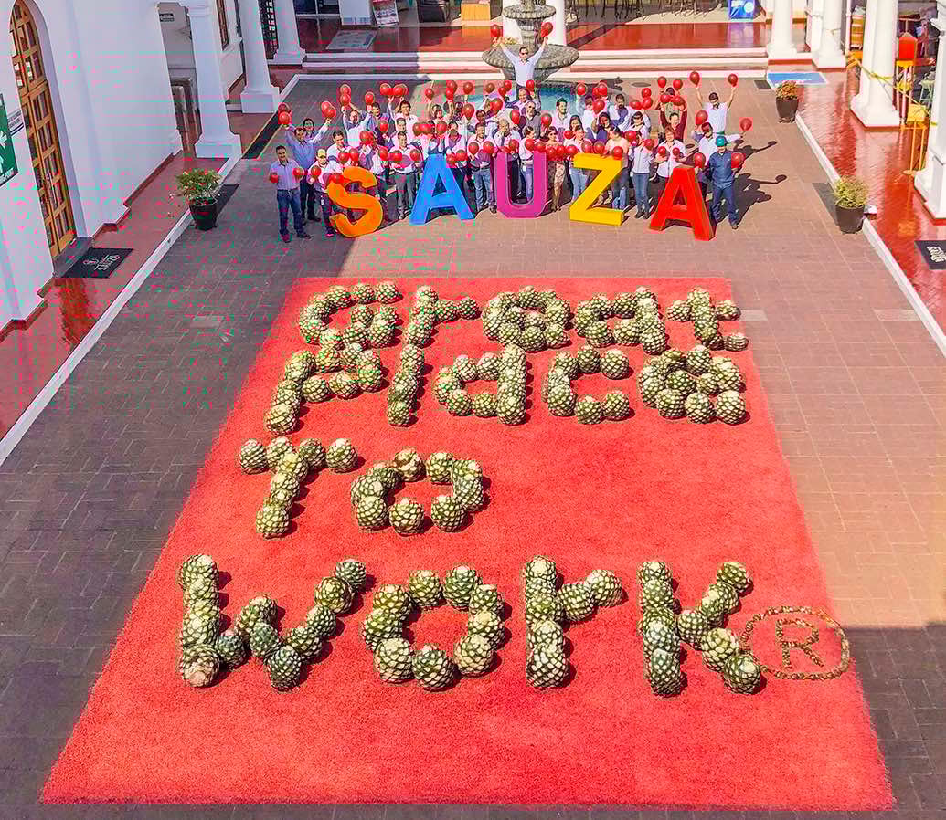 GPTW sauza foto agaves