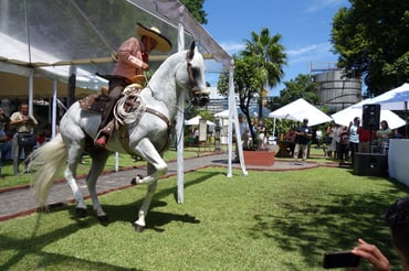 Mexican traditions horseback riding