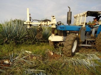 automatizacion del campo industria tequilera