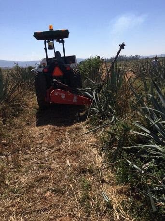 automatizacion del campo sauza