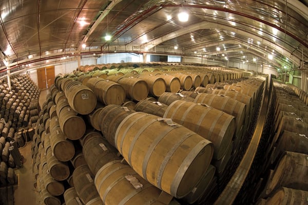 barrels aging tequila sauza