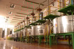 TPM en Casa Sauza