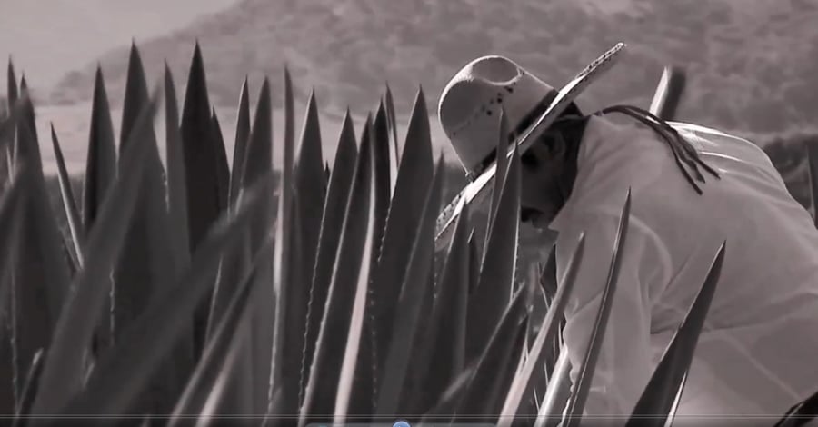 history of casa sauza tequila