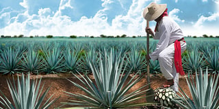 tequila mexico