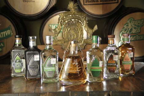 everything about tequila casa sauza