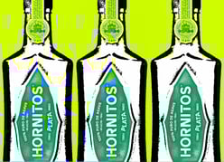 sauza silver hornitos