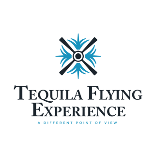 Tequila flying experience