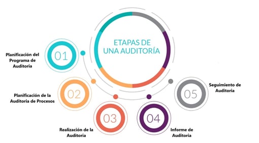 pasos para una auditoria interna