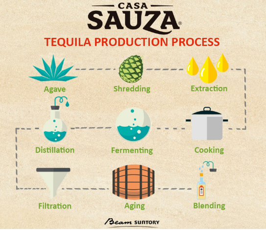 tequila making process infographic sauza