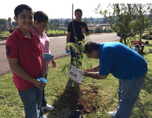 planting trees casa sauza