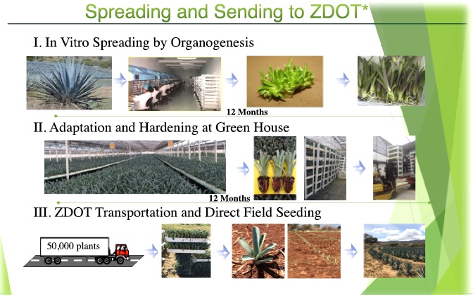 spreading and sending to ZDOT