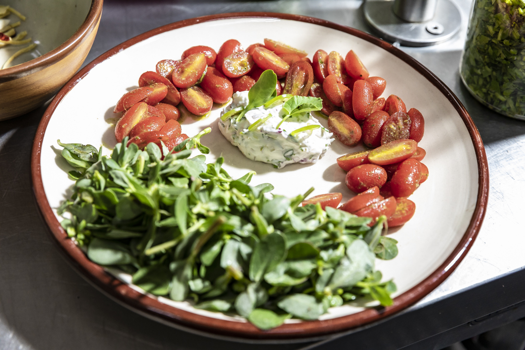 platillo tomates, queso ingredientes frescos