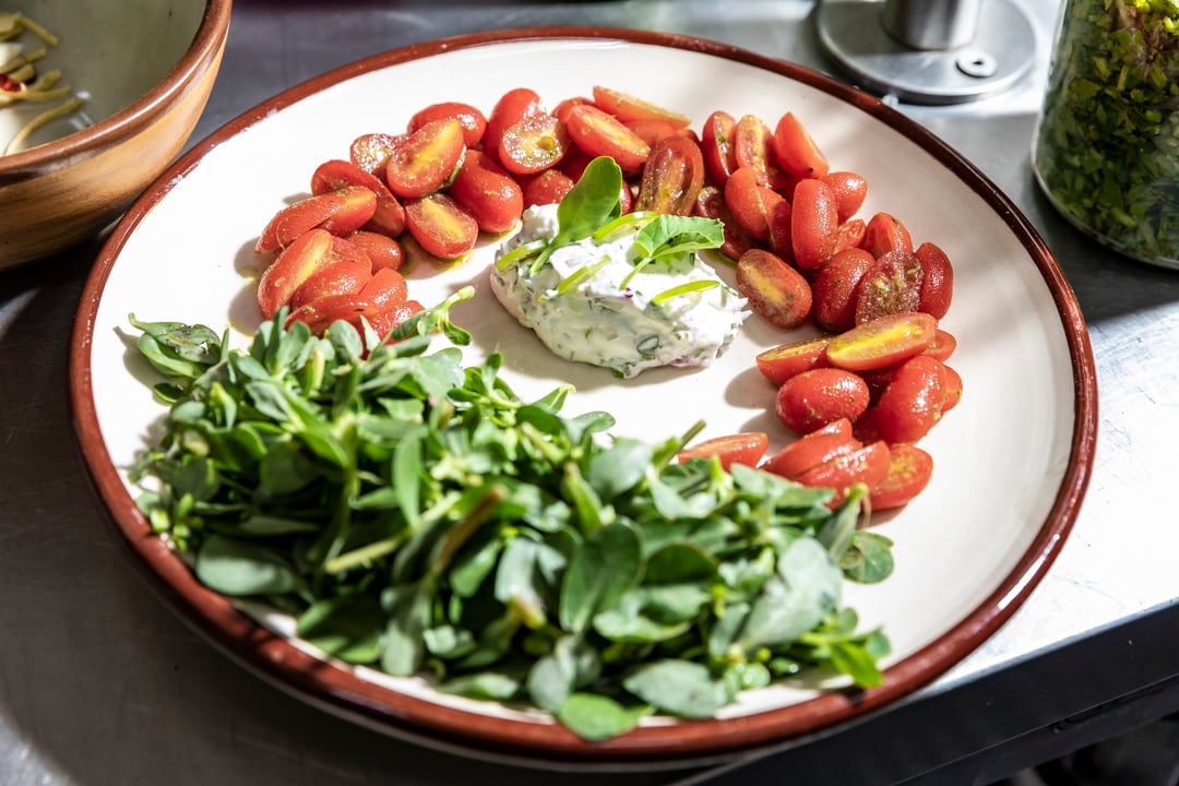 platillo tomates, queso ingredientes frescos